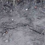 uttarakhand joshimath