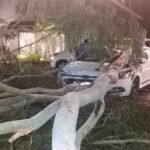 electricity and water stopped due to storm in dehradun