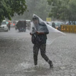 the meteorological department