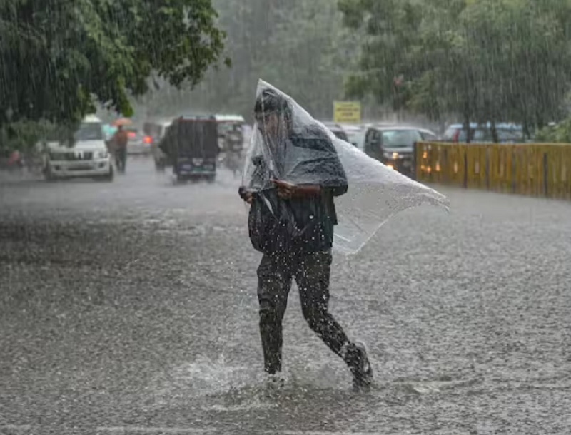 the meteorological department