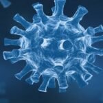 corona infected student died