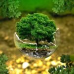 environment day is celebrated