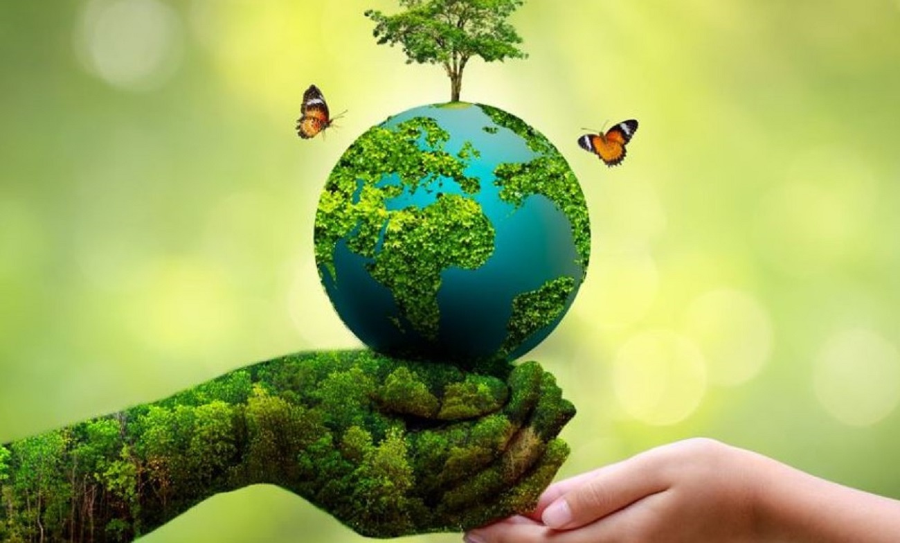 why world environment day