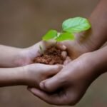 celebration of greenery