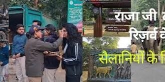 राजाजी टाइगर रिजर्व