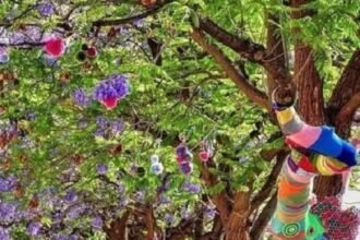 पेड़ों को भी लगती है ठंड