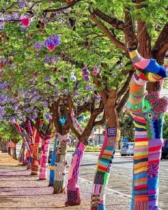 पेड़ों को भी लगती है ठंड