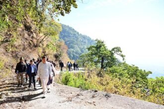 धामी सरकार