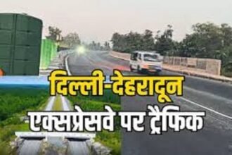 वन्यजीव