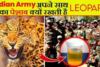 सर्जिकल स्ट्राइक