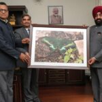 बटरफ्लाई गार्डन