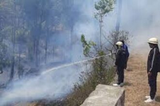 मॉक ड्रिल